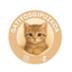 Gatitos Gipuzkoa