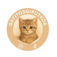 Gatitos Gipuzkoa