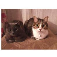 José Antonio  Martín Peña