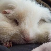 Cristina Bejarano García