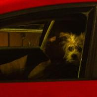 María Milagrosa  Martínez Guerrero