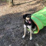 Claudia Räuber-Schwarz