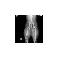 david domingo garcia