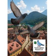 Kerstin  Thomas-Zaborosch