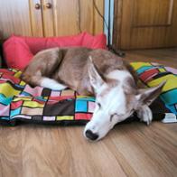 Noelia  Gramaje Martínez