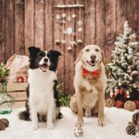 Belén Méndez Ricoy