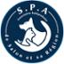 S.P.A DE SALON