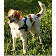 José Javier  Sánchez Pinilla Castro