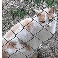 Maria Jesus Mateo Escribano