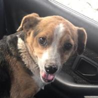 Josep Raimon Avargues Martínez