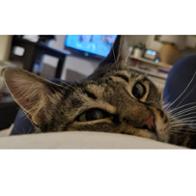 La Colonia   De Caramelo