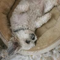 Maria del Carmen Martinez Melero