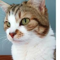 FRANCOISE WÜRSCHMIDT