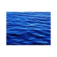 Julián Gregorio Pazos