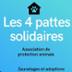 les 4 pattes solidaires association