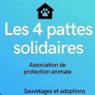 les 4 pattes solidaires association