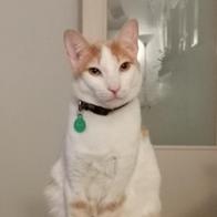 Antonio Martos Payán