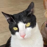 María Camúñez Maqueda