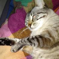 Maria Isabel Albarrán Viejo