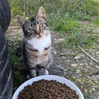 Pilar Soler Contreras