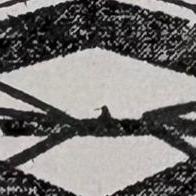 COMANDO G EPILA  Asociación Animalista