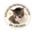 Asociación Protectora Felina de Cáceres