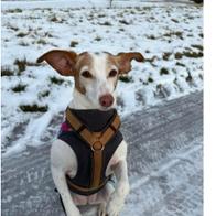 Jens-Peter Hauschild