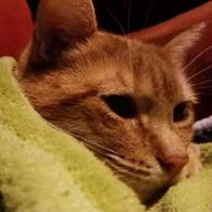 Bárbara López Fernández