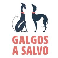 Montserrat Solans Pomares