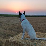 Sandra Centenera Delgado