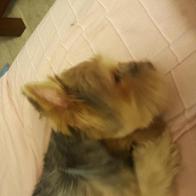 marta López del prado