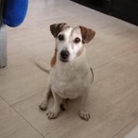 Ana maría  Belardo de Andrés