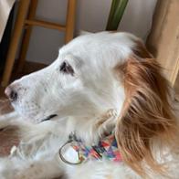 Jose Manuel Torres Joven