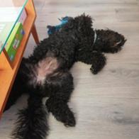 Natalia Mateo Miralles