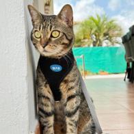 Lorena Fernandez Luna