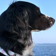 Ane Miren Morete Sánchez