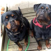 Sandro & Xsara Heitmann