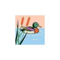 Javier Tamayo Pérez