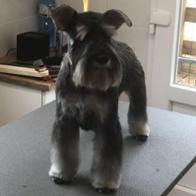 Jose Eduardo Linage Andres