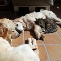 Mónica Bayona Gigó