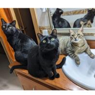 Silvia Alcaide Mateo