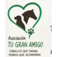 Asociacion Tú gran amigo