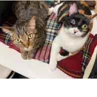 Margarita Garcia Rodriguez