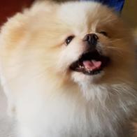 isabel hidalgo utanda