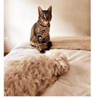 Maria Dolores  Hostalet