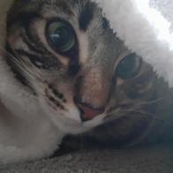 Nela Justo Sanmartín