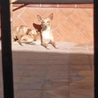 Maria Pintado Bustos