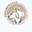 Voluntaris VoluntaCAAD