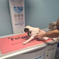 Ornella Di Benedetto