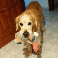 Natalia de los Santos